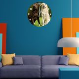 Tİ-PLAY LABRADOR 30X30CM AKRİLİK DEKORATİF MODERN DUVAR SAATİ