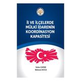 Tiav İl ve ilçelerde Mülki İdarenin Koordinasyon Kapasitesi