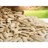 Ticaret Denizi 1.25 kg Tuzsuz Elek Üstü İri Boy Yerli Nevşehir Lüx Çiğ Kabak Çekirdeği