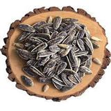 Ticaret Denizi 1 kg Dakota İri Boy Elek Üstü İnegöl Yerli Çiğ Siyah Ay Çekirdeği