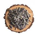 Ticaret Denizi 250 gr Dakota İri Boy Elek Üstü İnegöl Yerli Çiğ Siyah Ay Çekirdeği