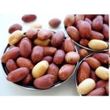 Ticaret Denizi 750 gr Jumbo Büyük Boy Tuzsuz Çifte Kavrulmuş Osmaniye Yer Fıstığı
