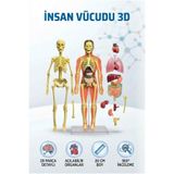 Tıfıl Toys 3D İnsan Vücudu Anatomisi ve İskelet Modeli 29 Parça Detaylı Tasarım 20 CM Eğitici Oyuncak