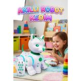 Tıfıl Toys Akıllı Müzikli Robot kedi Uzaktan Kumandalı, Dans Eden, Hikaye Anlatan Eğitici Oyuncak - LED Işıklı