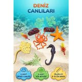 Tıfıl Toys Deniz Dünyası Keşif Seti Renkli Akvaryum Figürleri Süs Bitkileri ve Deniz Canlıları Oyun Seti