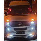 Tiger Marketing Diadem Ampul 12 V 2 Adet - Amber Amerikan Park -Sinyal Ampulu