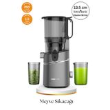 Tıgrecook SJ 036 Slow Juicer Yavaş Sıkım Katı Meyve Sıkacağı Sorbe gri