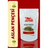 Tijda Aslan Pençesi 40 Gr (Alchemilla)