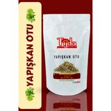 Tijda Yapışkan Otu Yoğurt Otu 40 Gr (Parietaria Officinalis)