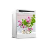 Tilki Dünyası 0105 Bulaşık Makinesi Kapak Sticker