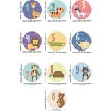 Tilki Dünyası Sevimli Hayvanlar Sayılar Çocuk Odası Duvar Sticker - Renkli - 10 x 10 cm