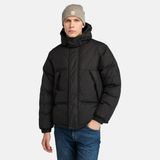 Timberland Howker Durable Suya Dayanıklı Erkek Şişme Mont Siyah