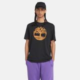 Timberland KENNEBEC RIVER Tree Logo Siyah Erkek Kısa Kol T-Shirt
