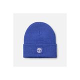Timberland Tonal Patch Beanie Erkek Mavi Şapka Tb0A65Jaeyq1