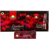 Timestart Ballı Bitkisel Macunu 12 gr x 12 Li Tek Kullanımlık Stick