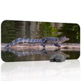 Timsah Oyuncu Gaming Mouse Pad Kauçuk Kaymaz Taban Mousepad (V3, 70x30 XL)
