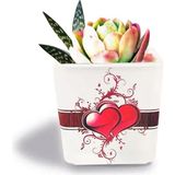 Tink Dekoratif Buzlu Cam Mumluk Kalpler Desen 8x8 cm (4 Adet)