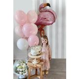Tinky Winky Pembe Flamingo Doğum Günü Balon Set winky793