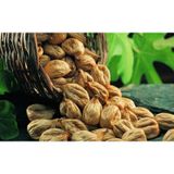 Tire Sepeti 1 kg Duble Kuru İncir