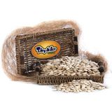 Tiryakiler Kuruyemiş 500 gr Kabak Çekirdeği Tuzlu