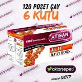 Tisan Alıç Çayı 6 Kutu 120 Poşet Çay