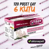 Tisan Civanperçemi Çayı 6 Kutu 120 Poşet Çay