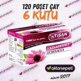 Tisan Ekinazeyalı Çay 6 Kutu 120 Poşet Çay