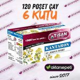 Tisan Kantaron Çayı | 6 Kutu | 120 Poşet Çay - Bitki Çayı