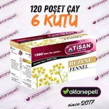 Tisan Rezene Çayı 6 Kutu 120 Poşet Çay