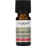 Tisserand Kafur (Camphor Whıte) Yağı 9 Ml