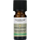Tisserand Tatlı Rezene (Fennel Sweet) Yağı 9 Ml