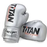 Titan Sport Gümüş (Silver) Rengi Boks Eldiveni