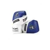 Titan Sport Mavi Beyaz Yılan Kurukafa Boks Eldiveni