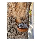 titanbaby Koala Sallanan Bahçe & Balkon Cücesi