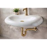 Titanium Design Gold Lavabo Sifonu
