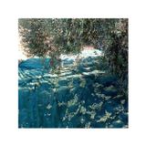 Titanium Zeytin Toplama Filesi 75'Lik 6*8 Metre Gölgelik File - Yeşil - Sergenlik - Zeytin Sergisi - Zeytin Yaygısı