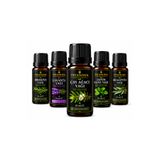 TİTANOVA %100 Saf Uçucu Yağ Seti 5'li 10 ml x 5 (Çay Ağacı, Lavanta, Biberiye, Japon Nane, Okaliptüs)