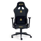 Titanseat Beast Leather Gold Oyuncu Koltuğu