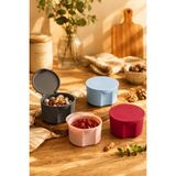 Titiz Organizers 4'lü Mini Puppy Saklama Kabı Şeffaf Renkli Kompakt Kullanım için İdeal ORG-350-4 - Yok