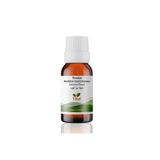 Tito 10 ml Premium Hindistan Cevizi Aroması