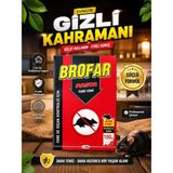 TKÇ Pasta 100 gr Güçlü Formül Fare ve Sıçan Kontrol Ürünü - Renkli