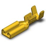 Tks 2.8 mm En Küçük Dişi Fiş-Terminal-Kablo Ucu-Tırnksız 100 Adet - Yok