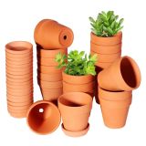 TKSCUSR 3 İnç Terracotta Tencere, Tabak-20 Paketi, Drenajlı Kaktüs Terra Cotta Çiçek Saksıları, Bitkiler için Harika Etli Kreş Kil Saksıları, Kendin Yap El Sanatları, Düğün Favorisi