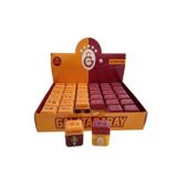 TMN Galatasaray Aslanlı Kalemtraş Çiftli Lisanslı - 2 Adet