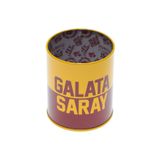 TMN Galatasaray Masa Üstü Kalemlik