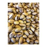TMR Siirt Fıstığı Kavrulmuş Tuzlu 500 g