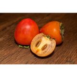 TNC Garden Groups Çikolatalı Trabzon Hurması (Diospyros digyna) – "Black Sapote"