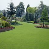 TNC Garden Groups Çim Gübresi 15-5-15 Sportsmaster 200 gr