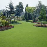 TNC Garden Groups Çim Gübresi 15-5-15 Sportsmaster 500 gr