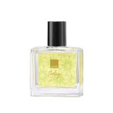 Today Tomorrow Always Kadın Parfüm Edp 30 Ml.